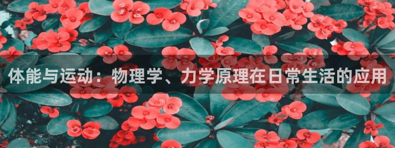 bbin视讯