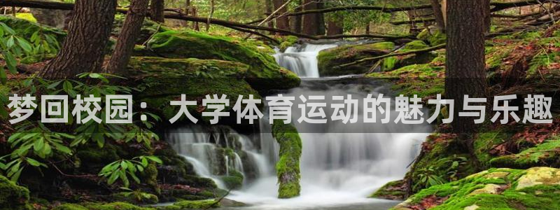 bbin视讯游戏官网：梦回校园：大学体育运动的魅力与乐趣