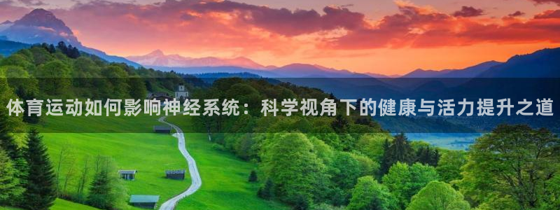 bbin视讯游戏平台：体育运动如何影响神经系统：科学视角下的健康与活力提升之道