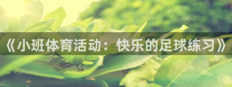bbin视讯游戏平台：《小班体育活动：快乐的足球练习》