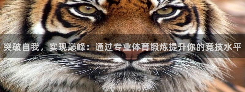 bbin视讯游戏官网：突破自我，实现巅峰：通过专业体育锻炼提升你的竞技水平
