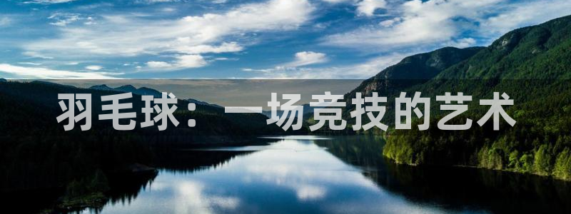 bbin视讯下：羽毛球：一场竞技的艺术