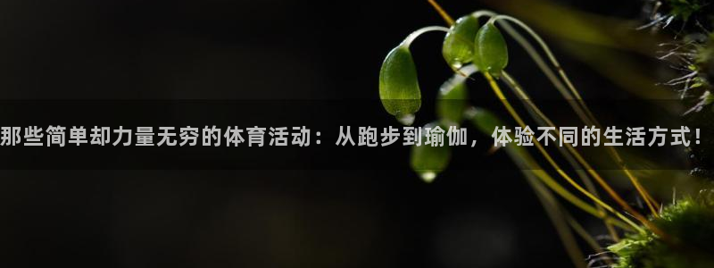 bbin视讯游戏官网