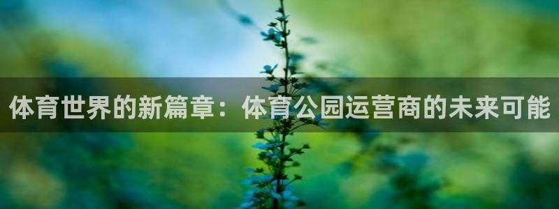 bbin视讯游戏官网：体育世界的新篇章：体育公园运营商的未来可能