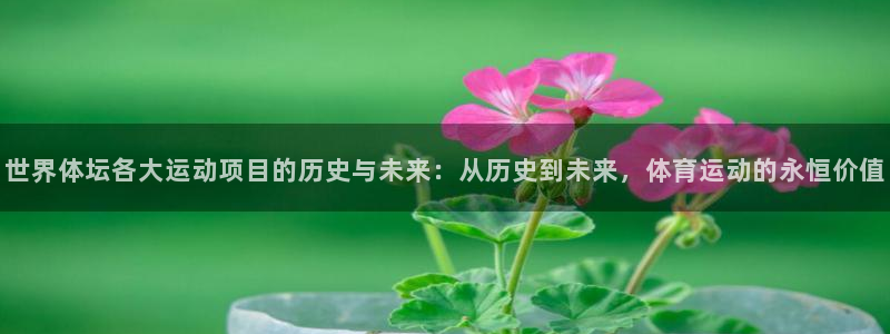 bbin视讯下：世界体坛各大运动项目的历史与未来：从历史到未来，体育运动的永恒价值