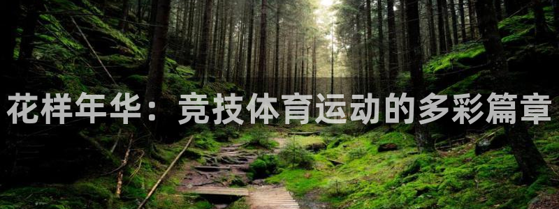 bbin视讯