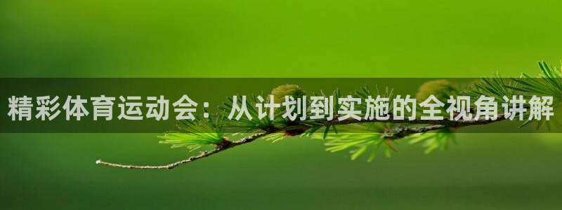bbin视讯：精彩体育运动会：从计划到实施的全视角讲解