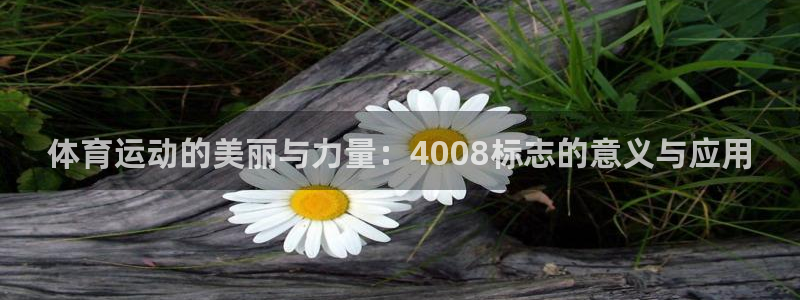 bbin视讯游戏平台