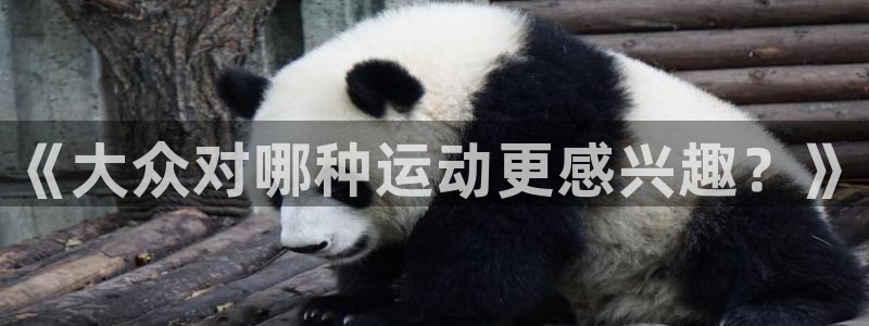 bbin视讯游戏平台
