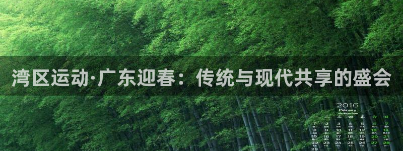 bbin视讯下：湾区运动·广东迎春：传统与现代共享的盛会